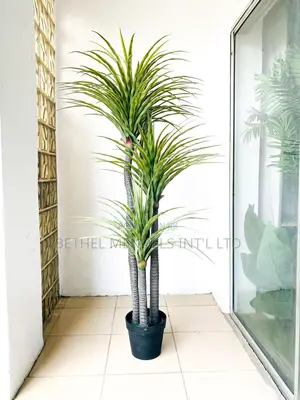 Artificial Interior Plants/Flower Available for Bulk Sales