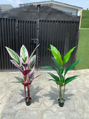 Beautiful Interior Artificial Plants/Flowers for Sale