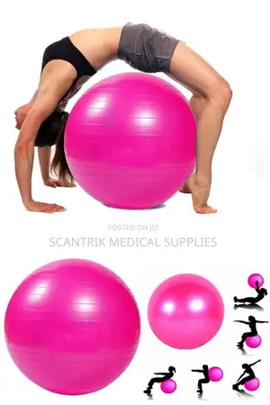 Fitness Master Gym Ball