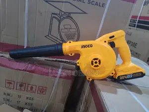 Lithium Ion Blower