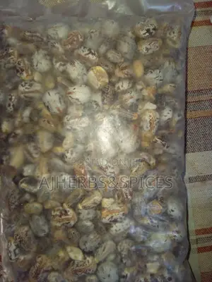 Castor Seeds