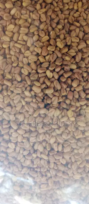 Fenugreek Seeds
