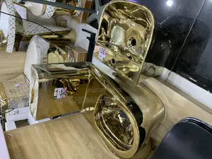 Gold Wc and Wall Basin