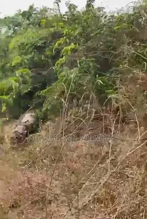 A Plot of Land at Papanla After Alatorin Area