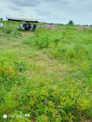 Dry Land in Ogwashi-Ukwu Aniocha South