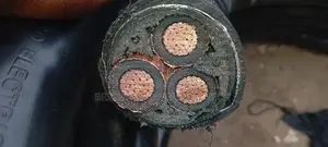 All Kinds of Xlpe Armoured Cable and Wires Are Now Available