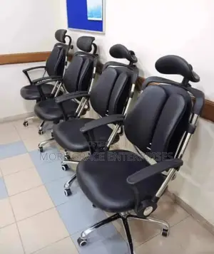 Best Ergonomic Office Chair With Back Support.