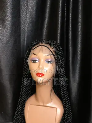 Beautiful Braided Wigs