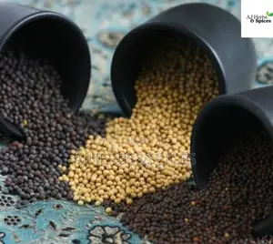Mustard Seed