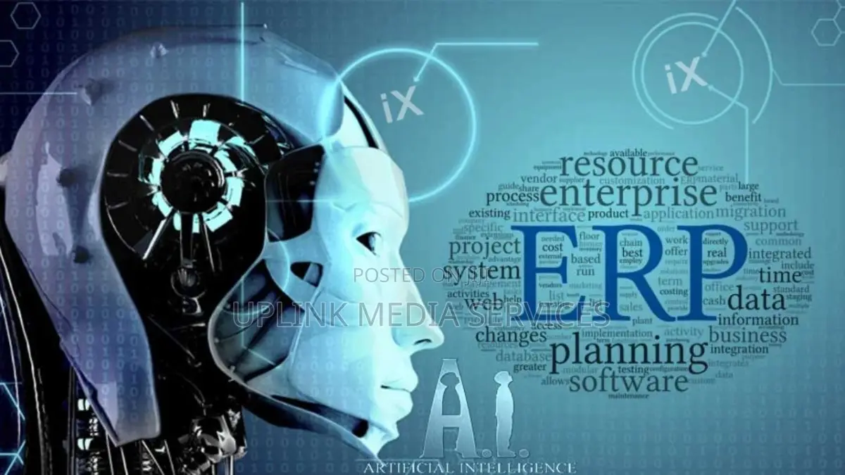 Rising Erp Implementation