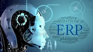 Rising Erp Implementation