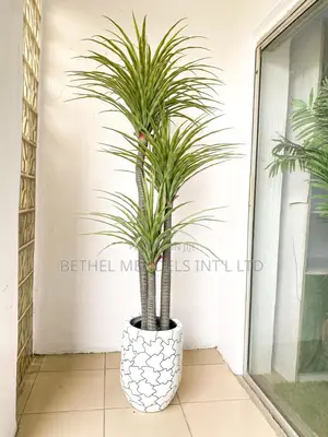 Fiberglass Flower Pot Wholesalers Needed Now at Kano State