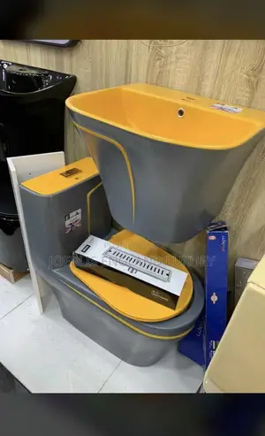 Executive Colored WC With Wall Hung Basin