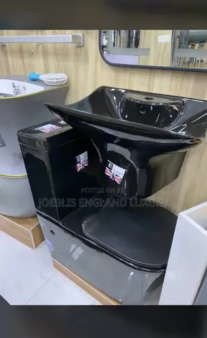 Black Executive WC With Wall Hung Basin