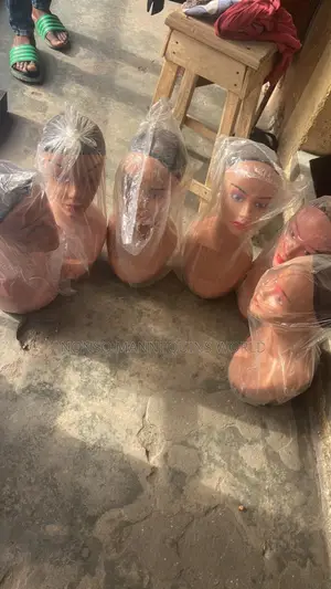 Brand New Plastic Long Necks Mannequin Heads