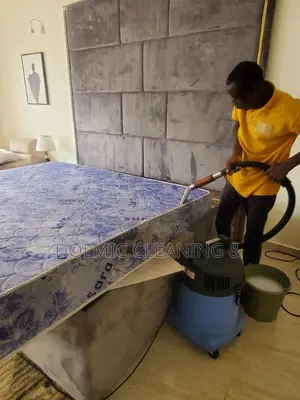 Upholstered Bed/Mattress Cleaning Expertise