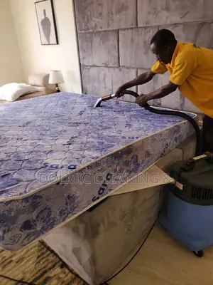 Upholstered Bed/Mattress Cleaning Expertise