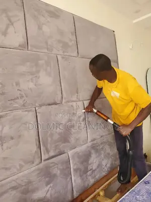Upholstered Bed/Mattress Cleaning Expertise