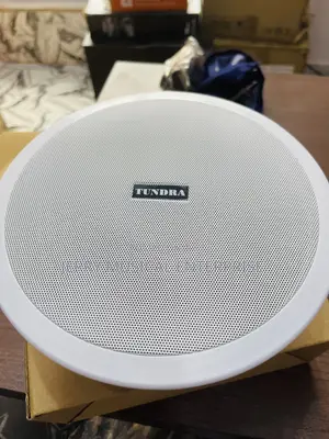 Single Bluetooth Ceiling Speakers