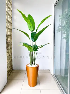 Fiberglass Pots Bulk Buyers Needed Urgently in FCT Abuja