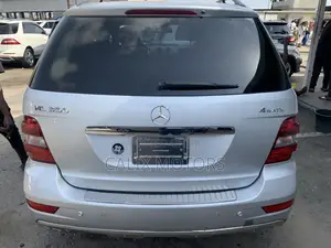 Mercedes-Benz M Class 2010 Silver