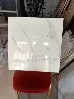 Glossy Floor Tiles