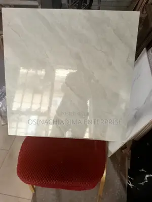 Grey Glossy Floor Tiles