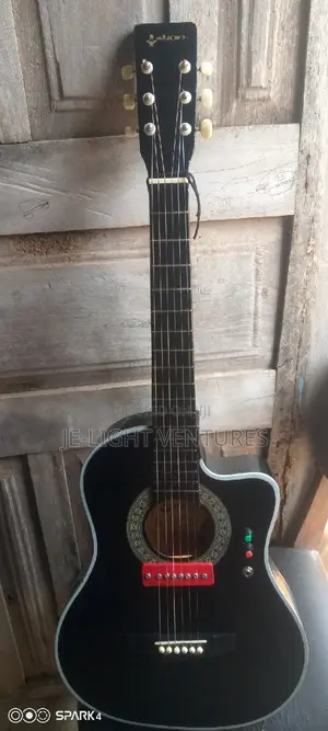 Guitar and Violin Repair( Electric, Box), Convert Box to Semi Acoustic