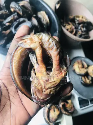 Oven Dried Catfish