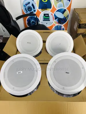 Original Woofer 4in1 Bluetooth Ceiling Speakers