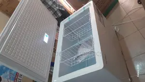 Skyrun Deep Freezer 300 Litres