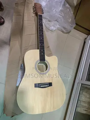 Acoustic Gunter Jumbo Big Size
