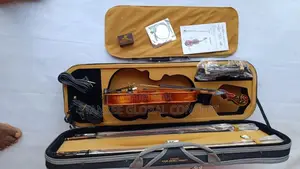 Cardinal Masterpiece CAV201E Electro Acoustic Concert Violin