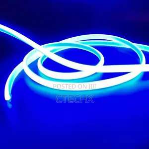 LED Light Neon Flexible Strip Light 5m Blue Color