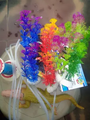 Aquarium Accessories