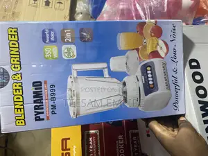 Pyramid Blender and Grinder