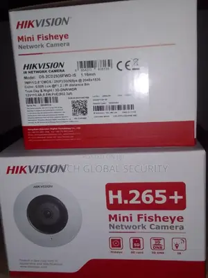 Hikvison Mini Fisheye Network Camera