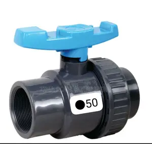 Swimming Pool Union Valve 50mm