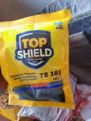 Top Shield 101 Powder Waterproof for Concrete Plaster 500g