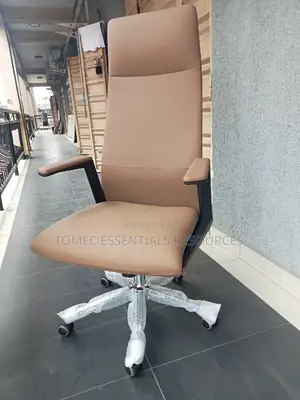 Imported Executive Office Chair