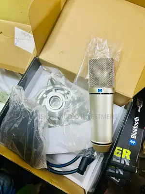 Studio Condenser Microphone With Shock Mount and XLR Cable