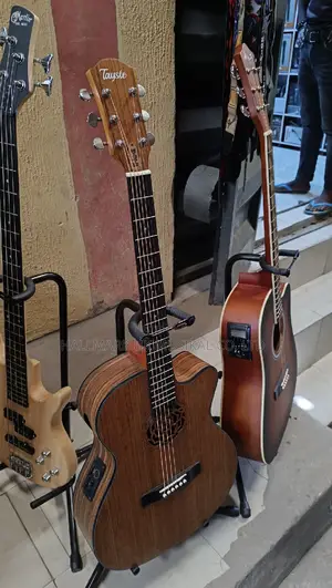 Professional Semi Acoustic Guitar