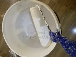 Interior and Exterior Decorations Painting