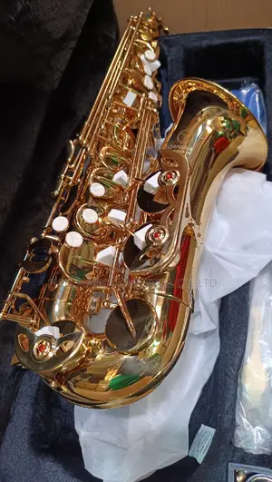 Proel Itallia Quality Eb Alto Saxophone