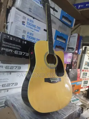 Professional Acoustic Electric Guitar With Inbuilt Effects