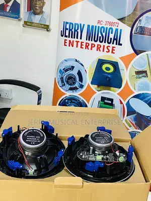 Dart 40watts 2in1 Ceiling Speakers