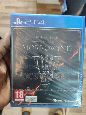 PS4 Morrowind Games