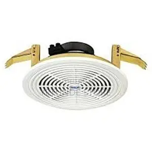 Ceiling Speaker