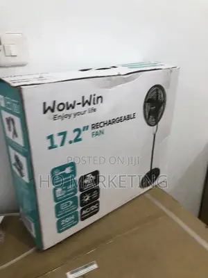 Wow Win Rechargeable 17.2'' Standing Fan