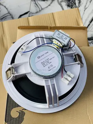 30 Watts Lucky Tone Ceiling Loudspeaker